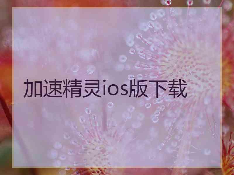 加速精灵ios版下载