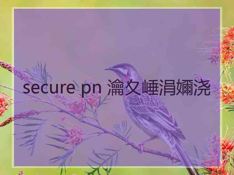 secure pn 瀹夊崜涓嬭浇