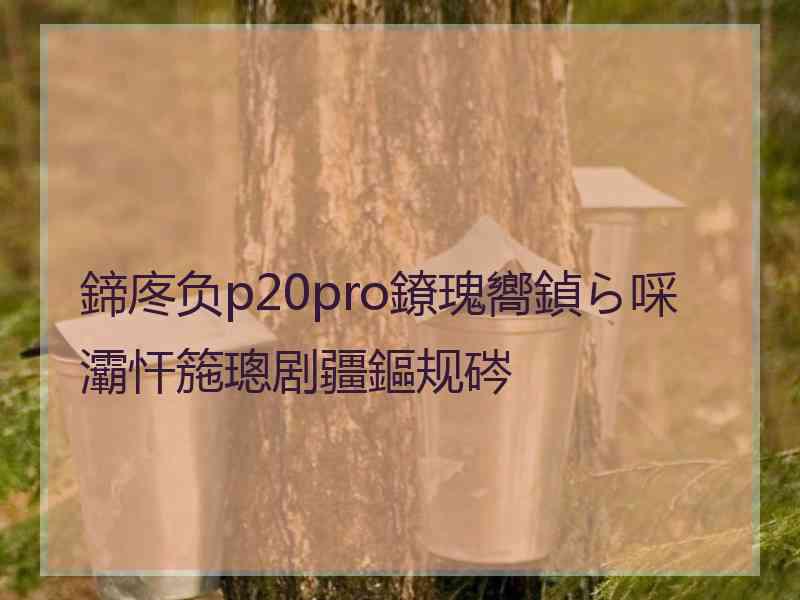 鍗庝负p20pro鐐瑰嚮鍞ら啋灞忓箷璁剧疆鏂规硶