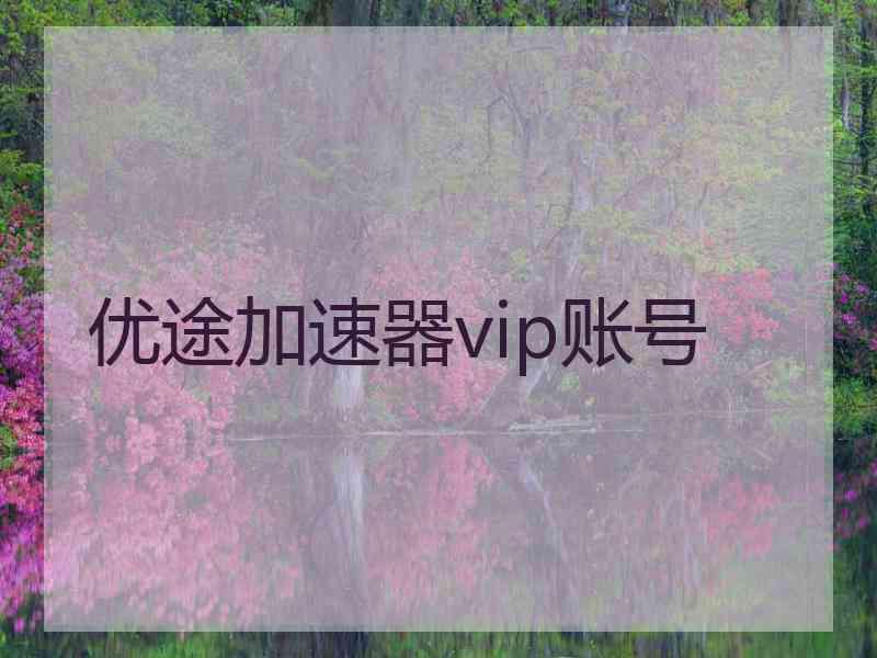 优途加速器vip账号