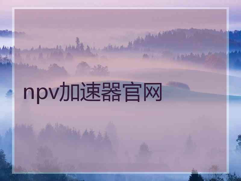 npv加速器官网