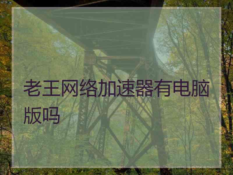 老王网络加速器有电脑版吗