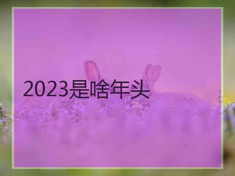 2023是啥年头