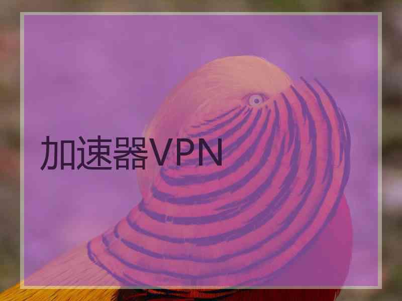 加速器VPN