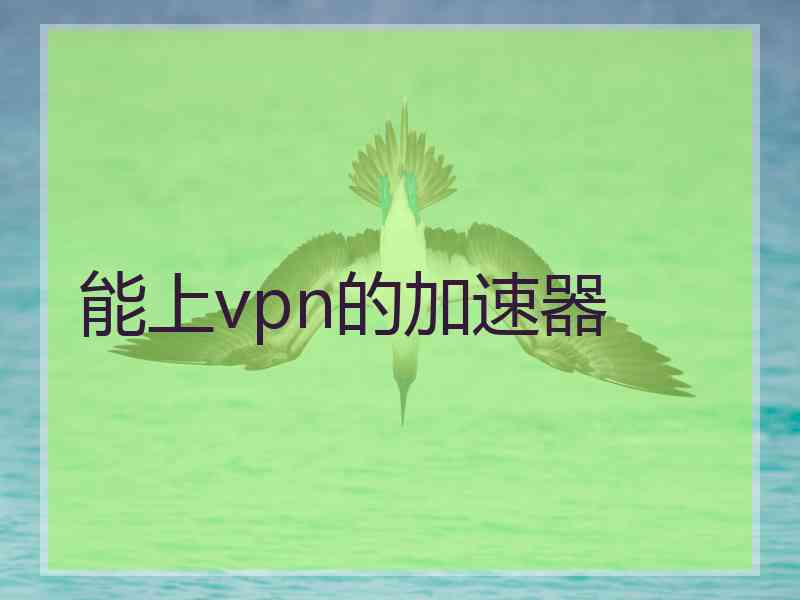 能上vpn的加速器