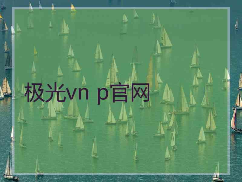 极光vn p官网