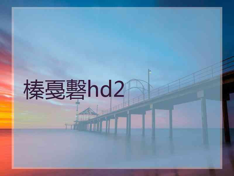 榛戞礊hd2