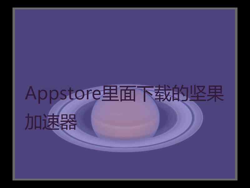 Appstore里面下载的坚果加速器