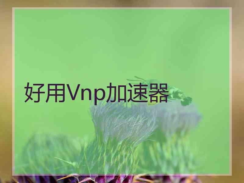 好用Vnp加速器