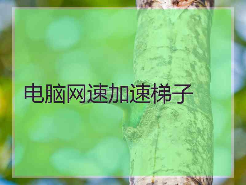 电脑网速加速梯子