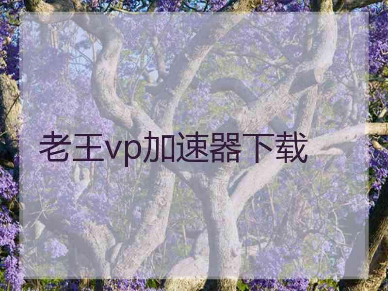 老王vp加速器下载