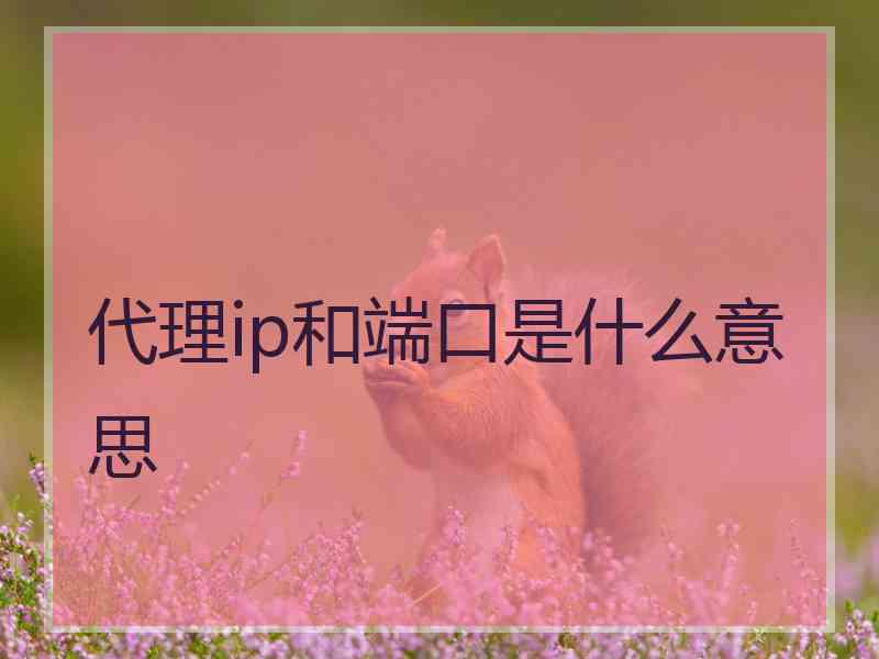 代理ip和端口是什么意思