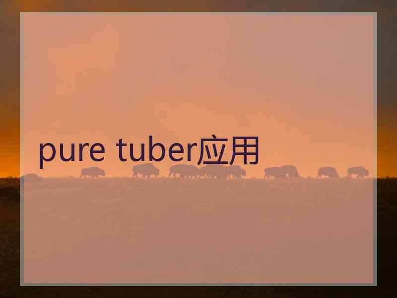 pure tuber应用