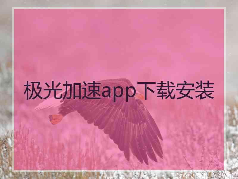 极光加速app下载安装