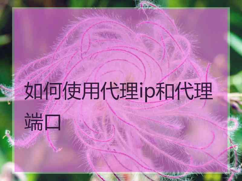 如何使用代理ip和代理端口