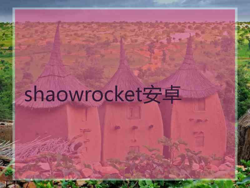 shaowrocket安卓