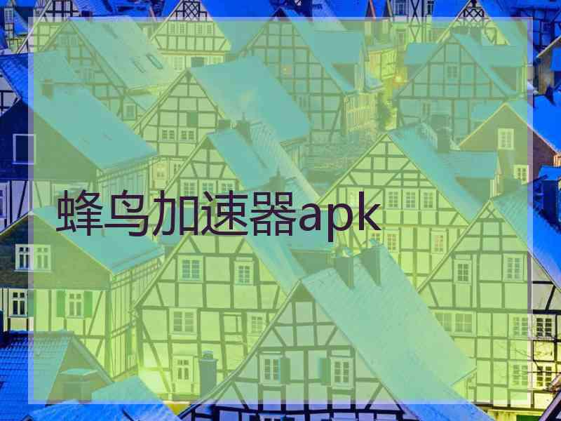 蜂鸟加速器apk