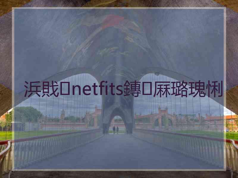 浜戝netfits鏄厤璐瑰悧