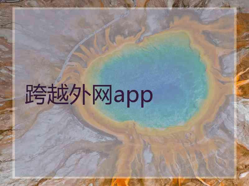 跨越外网app