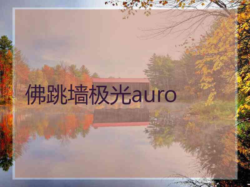 佛跳墙极光auro