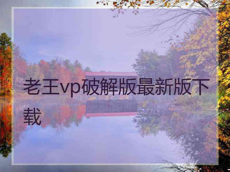 老王vp破解版最新版下载