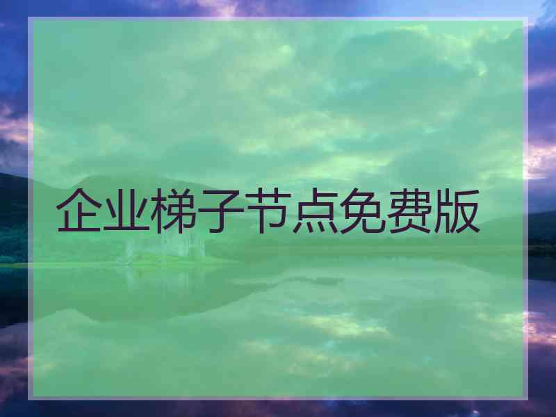 企业梯子节点免费版