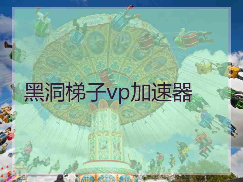 黑洞梯子vp加速器