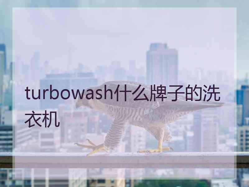 turbowash什么牌子的洗衣机