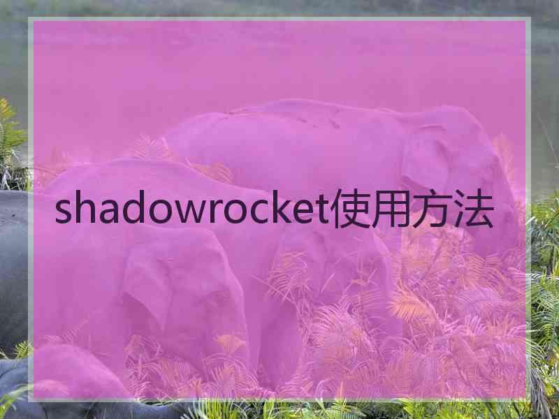 shadowrocket使用方法