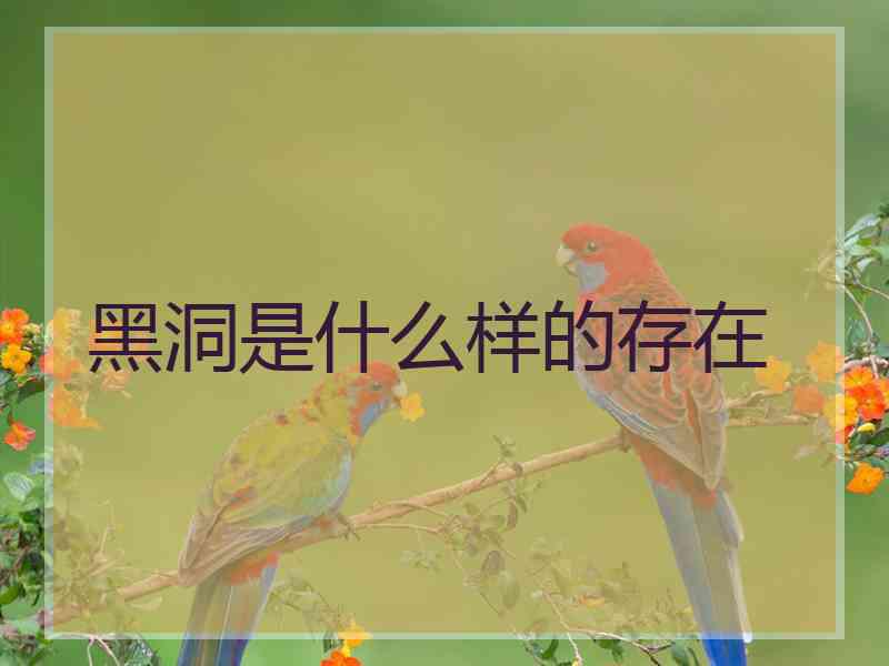 黑洞是什么样的存在