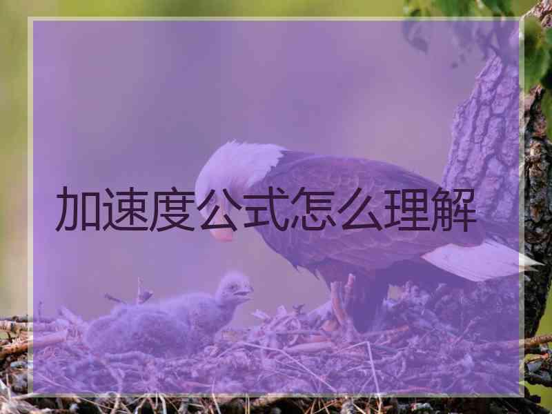 加速度公式怎么理解