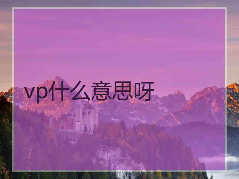 vp什么意思呀