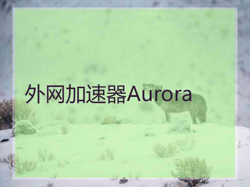 外网加速器Aurora