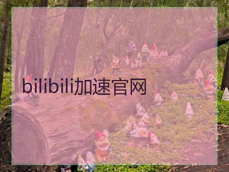 bilibili加速官网