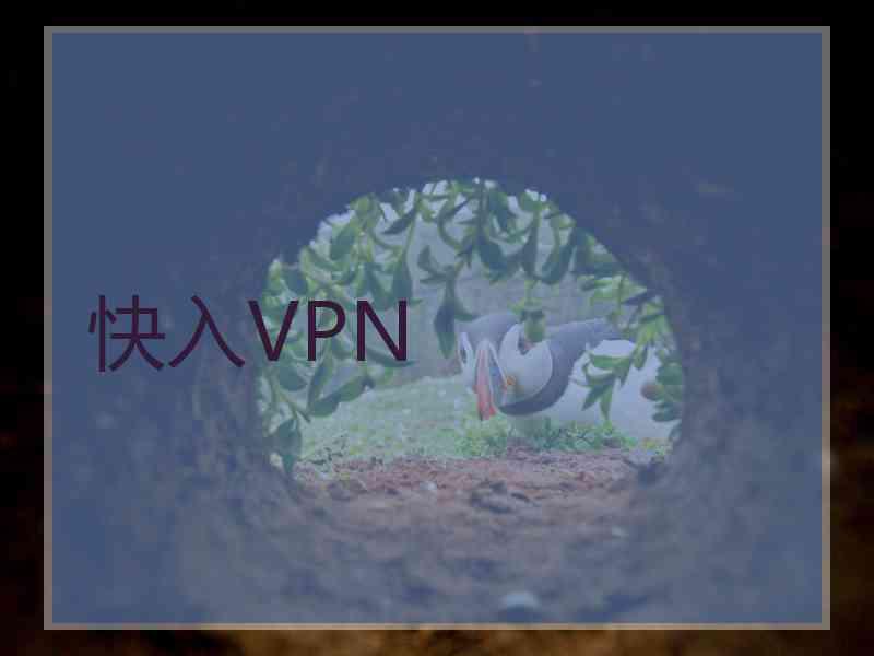 快入VPN