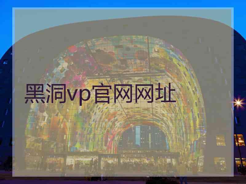 黑洞vp官网网址