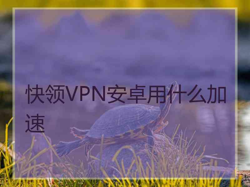 快领VPN安卓用什么加速