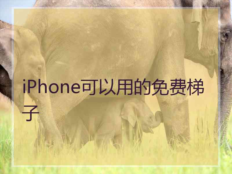 iPhone可以用的免费梯子