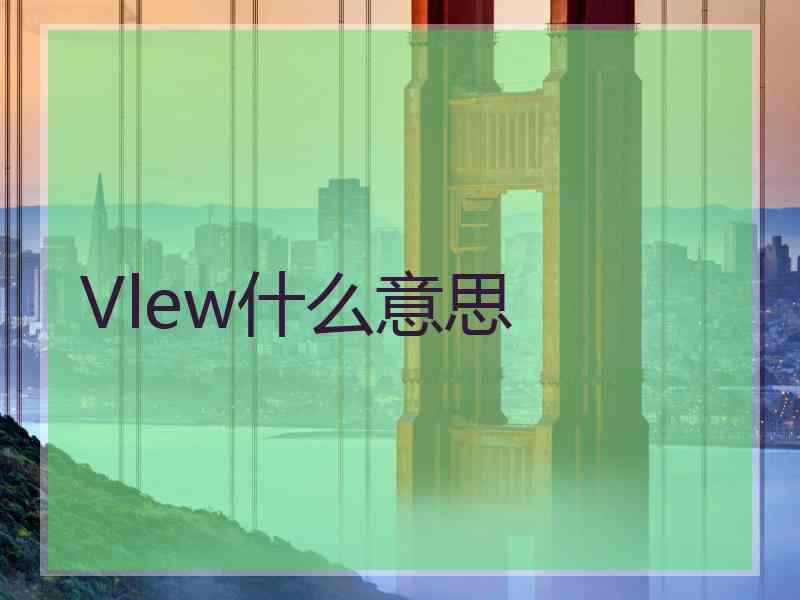 Vlew什么意思