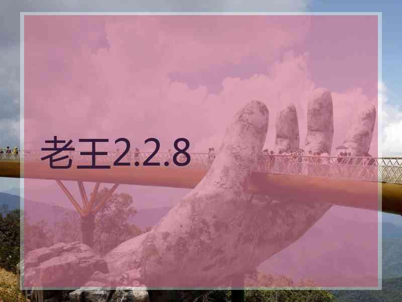 老王2.2.8