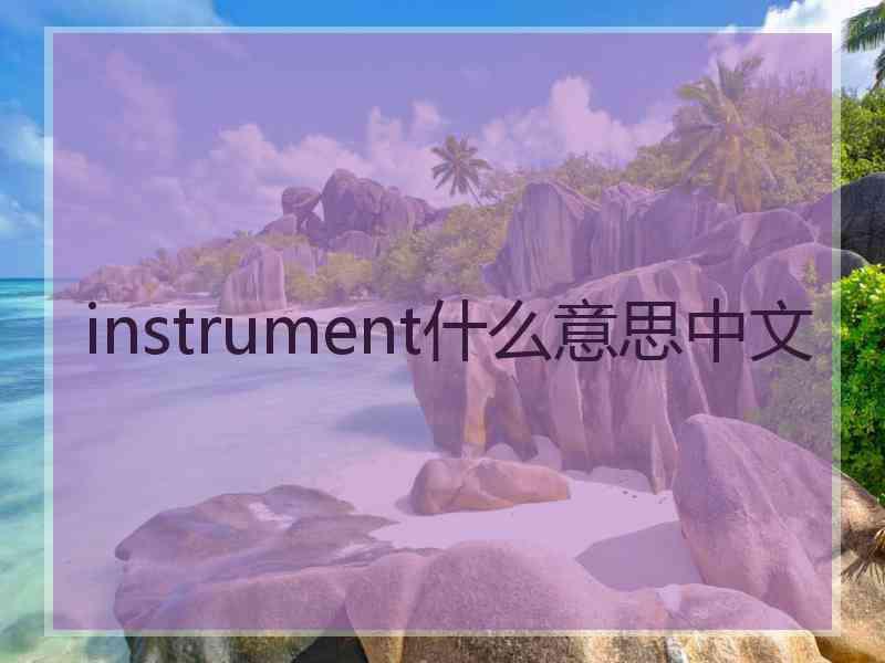 instrument什么意思中文