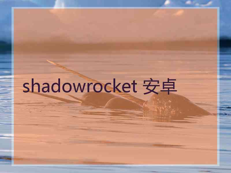 shadowrocket 安卓