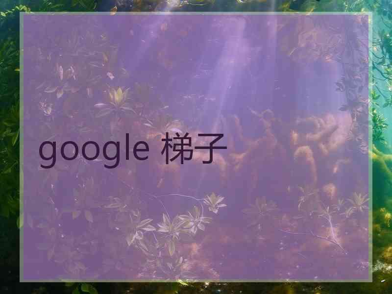 google 梯子