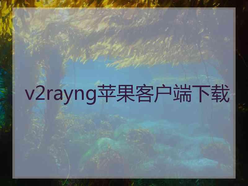 v2rayng苹果客户端下载