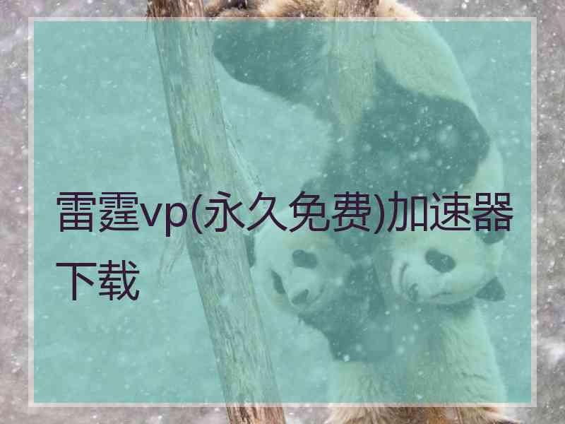 雷霆vp(永久免费)加速器下载