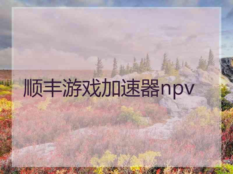 顺丰游戏加速器npv