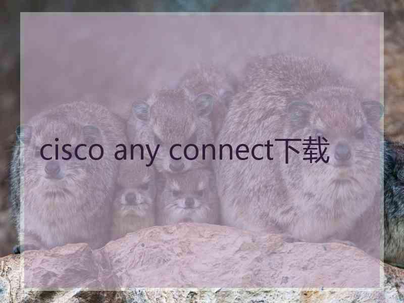 cisco any connect下载