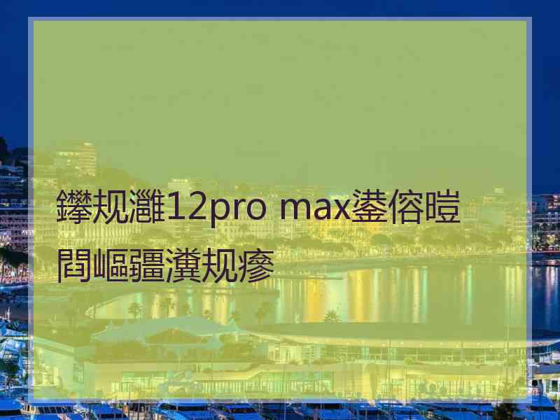 鑻规灉12pro max鍙傛暟閰嶇疆瀵规瘮