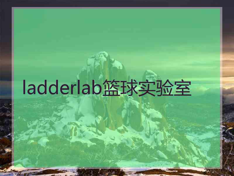 ladderlab篮球实验室