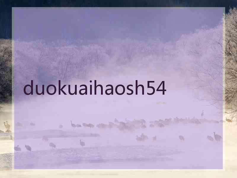 duokuaihaosh54